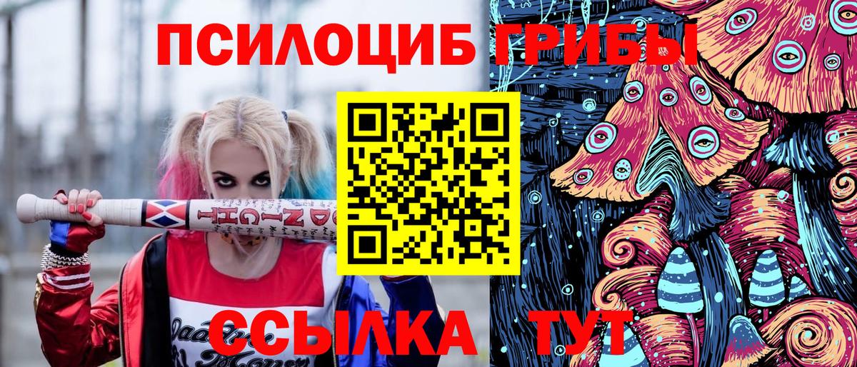 Псилоцибиновые грибы мицелий Канаш